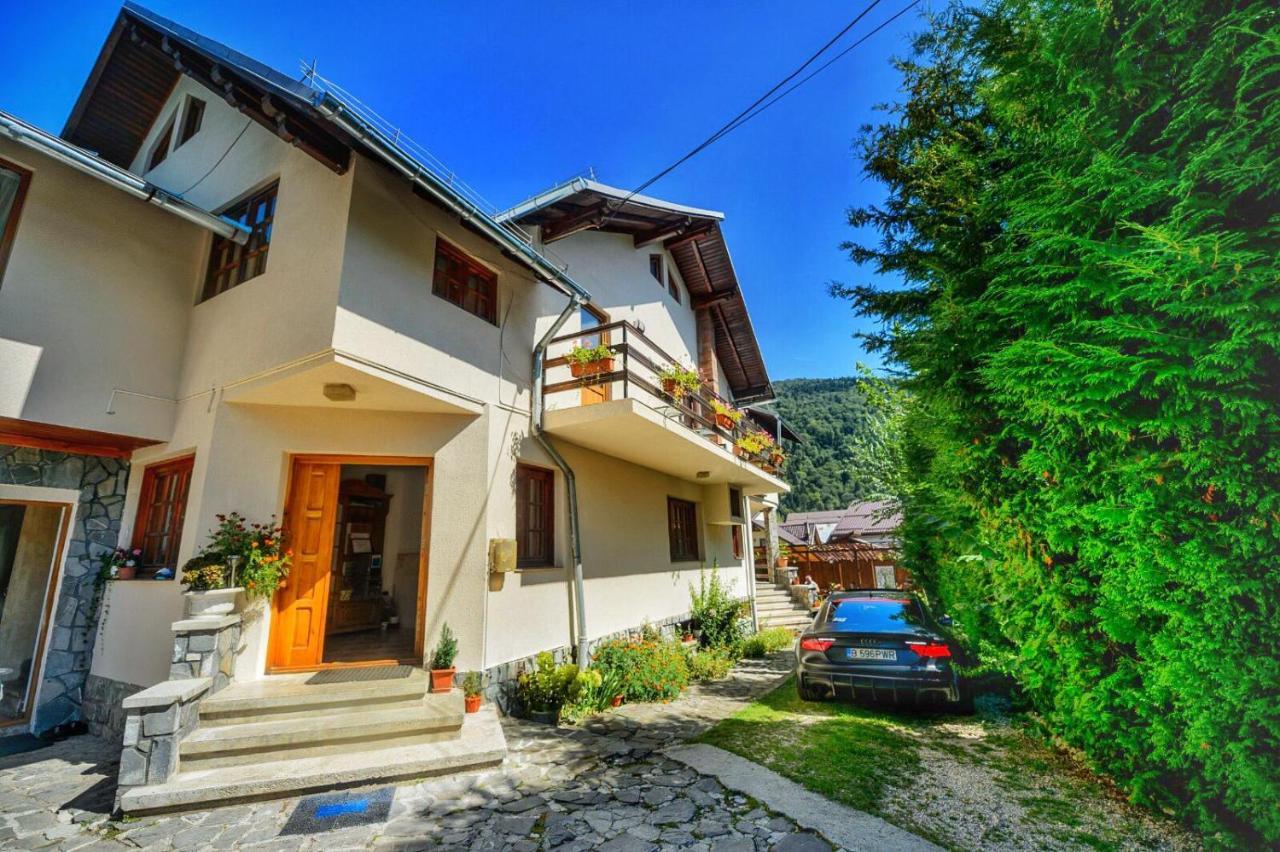 Amandra Chalet Sinaia Exterior photo
