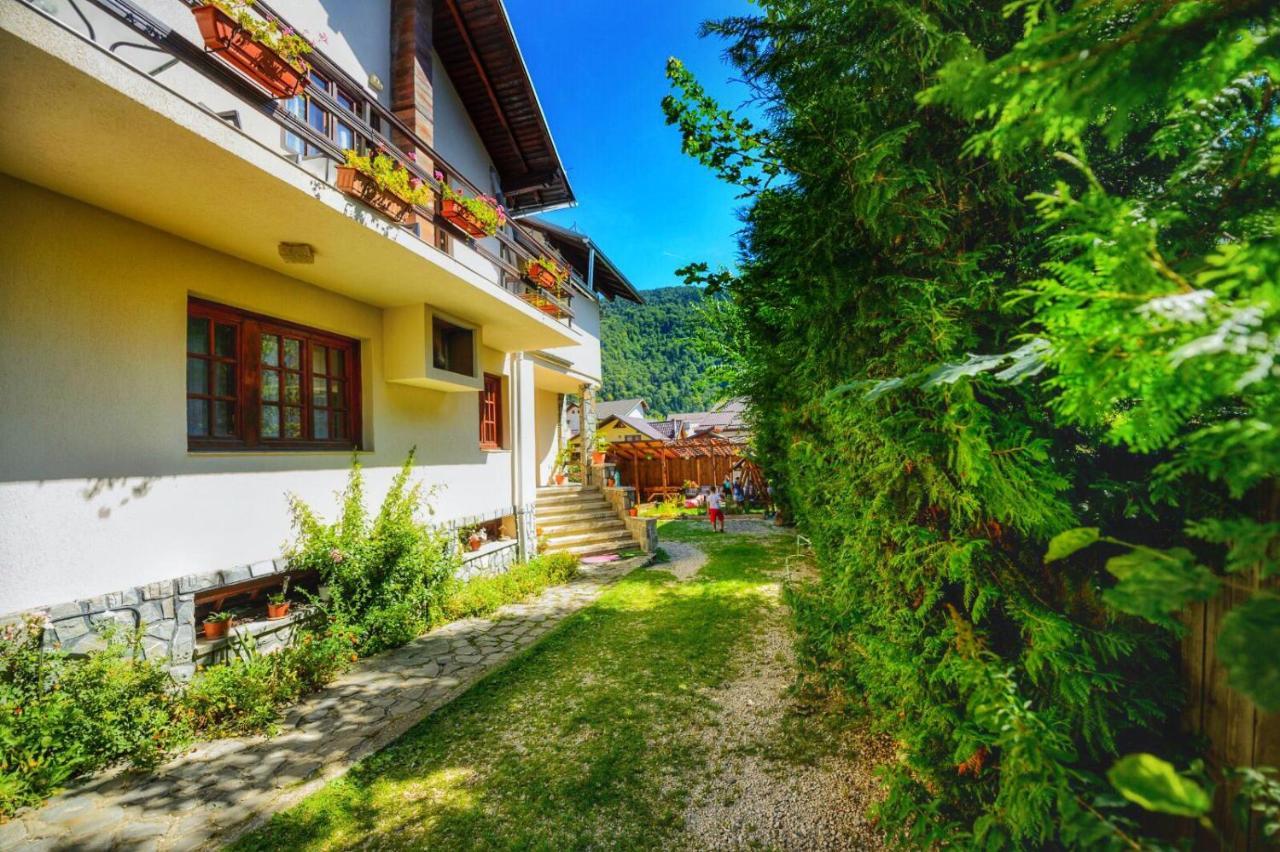 Amandra Chalet Sinaia Exterior photo