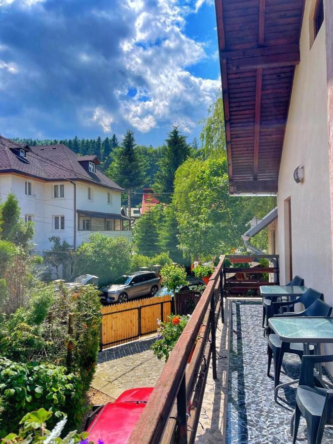 Amandra Chalet Sinaia Exterior photo