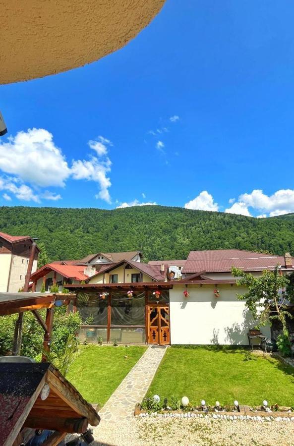 Amandra Chalet Sinaia Exterior photo