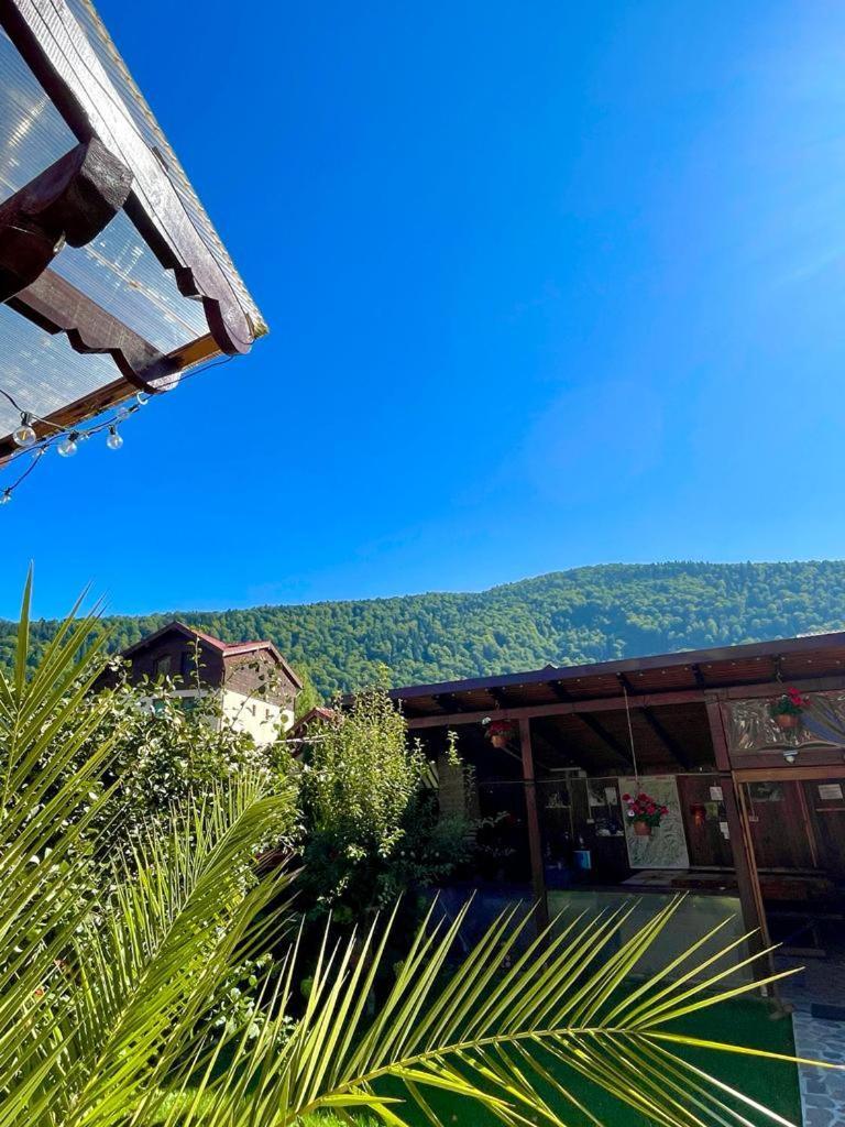 Amandra Chalet Sinaia Exterior photo