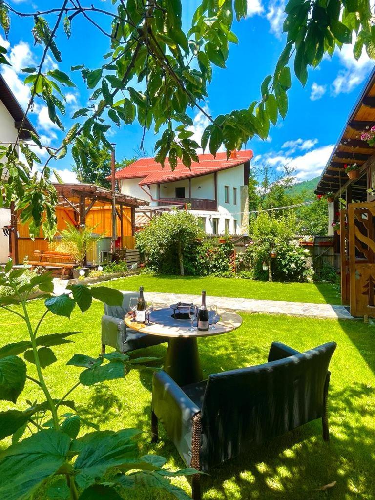 Amandra Chalet Sinaia Exterior photo